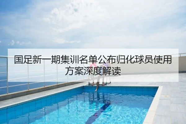 国足新一期集训名单公布归化球员使用方案深度解读